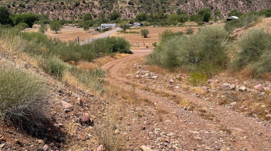 450610176_483978387657197_10841012004148