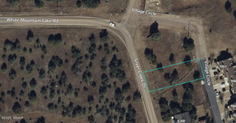 8256 Silver Creek Drive, Show Low, Arizona 85901, ,Land,For Sale,Silver Creek,258449