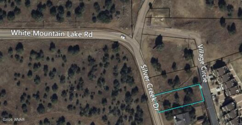 8258 Silver Creek Drive, Show Low, Arizona 85901, ,Land,For Sale,Silver Creek,258448