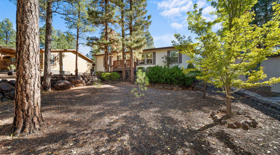 55 Plus Hacienda Pines