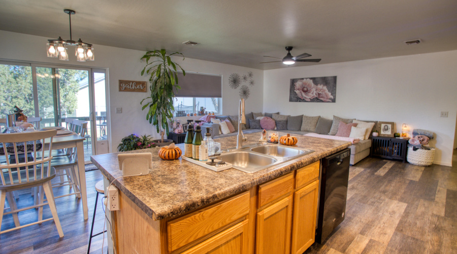 Paxmanphoto_PAX_8214 2