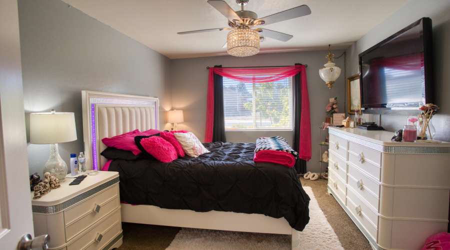 Paxmanphoto_PAX_8219