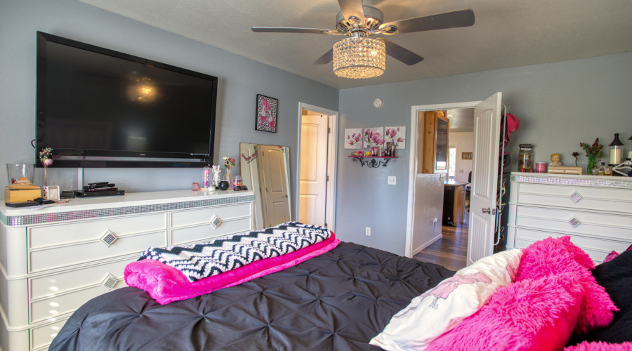 Paxmanphoto_PAX_8223 2