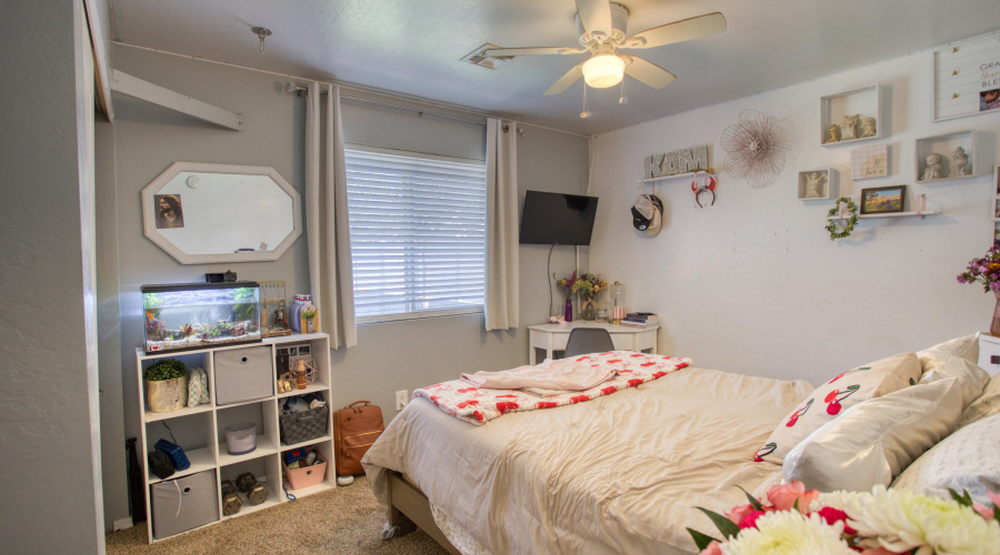 Paxmanphoto_PAX_8238 2