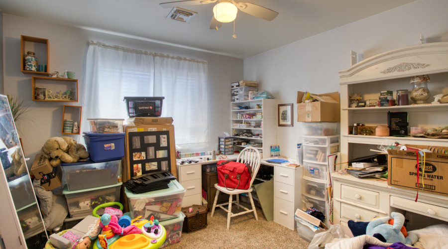 Paxmanphoto_PAX_8244 2