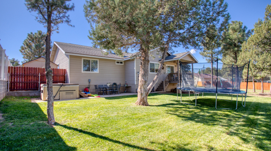 Paxmanphoto_PAX_8250