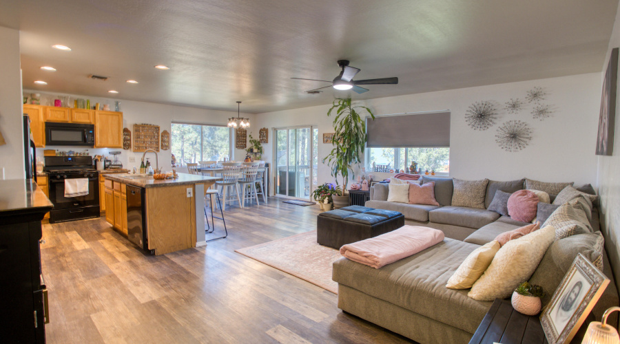 Paxmanphoto_PAX_8202 2