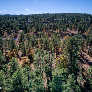 Photo #4- 6994 Leo Ln