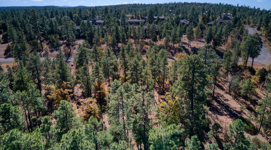 Photo #4- 6994 Leo Ln