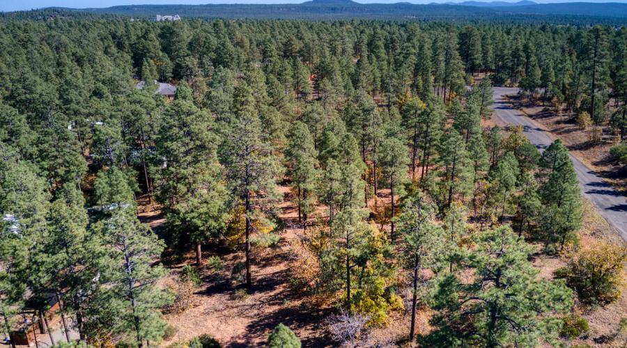 Photo #5- 6994 Leo Ln