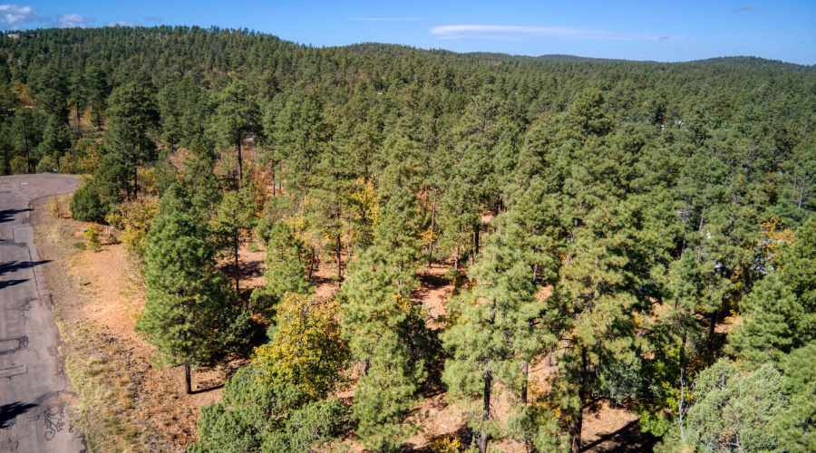 Photo #6-6994 Leo Ln