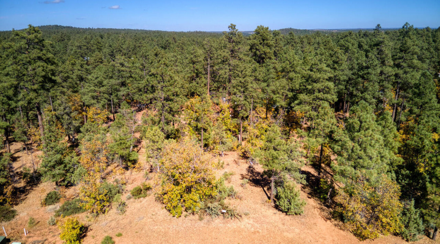 Photo #2- 6994 Leo Ln