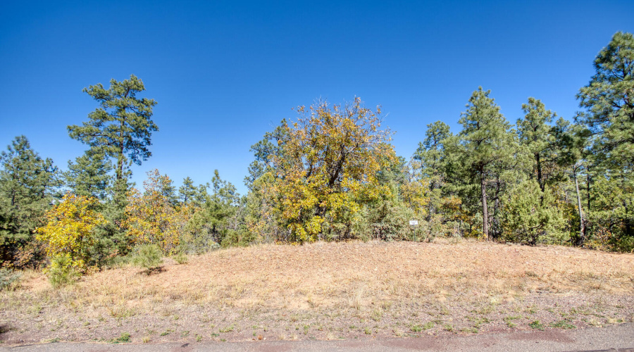 Photo #8-6994 Leo Ln