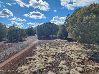 81 3328, Vernon, Arizona 85940, ,Land,For Sale,3328,252516