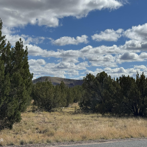 5 Clubhouse Ln, Conch Valley