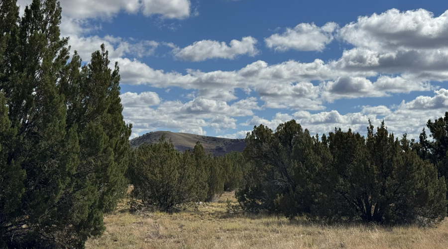 5 Clubhouse Ln, Conch Valley