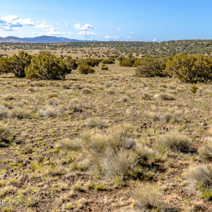 County Road 5106 edit 4 (1)