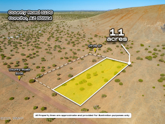 TBD CR 5106 LOT 2, Concho Valley, Arizona 85924, ,Land,For Sale,CR 5106 LOT 2,258473