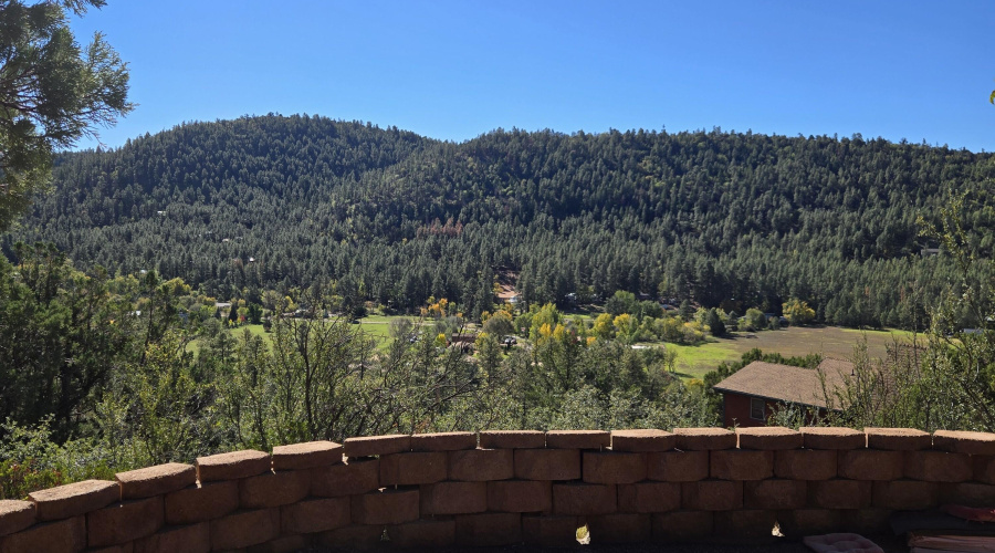 View to south from driveway