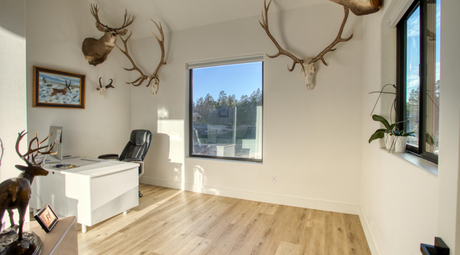 Guest Bedroom #3 Or Office