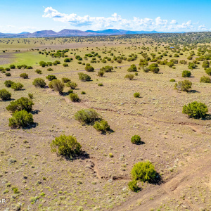 County Road 5106 edit 5 (1)