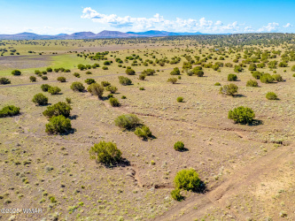 TBD Co Rd 5106 Lot #1 1.1 Acres, Concho, Arizona 85924, ,Land,For Sale,Co Rd 5106 Lot #1 1.1 Acres,258482