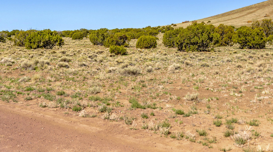 County Road 5106 edit 3 (1)