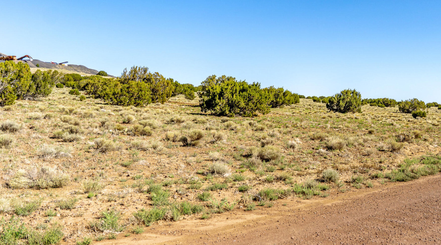 County Road 5106 edit 2 (1)