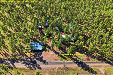 38742 State Route 373, Greer, Arizona 85927, ,Commercial,For Sale,State Route 373,258486