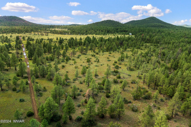 000 Dipping Vat Spring Fire Road, Vernon, Arizona 85940, ,Land,For Sale,Dipping Vat Spring Fire,257535