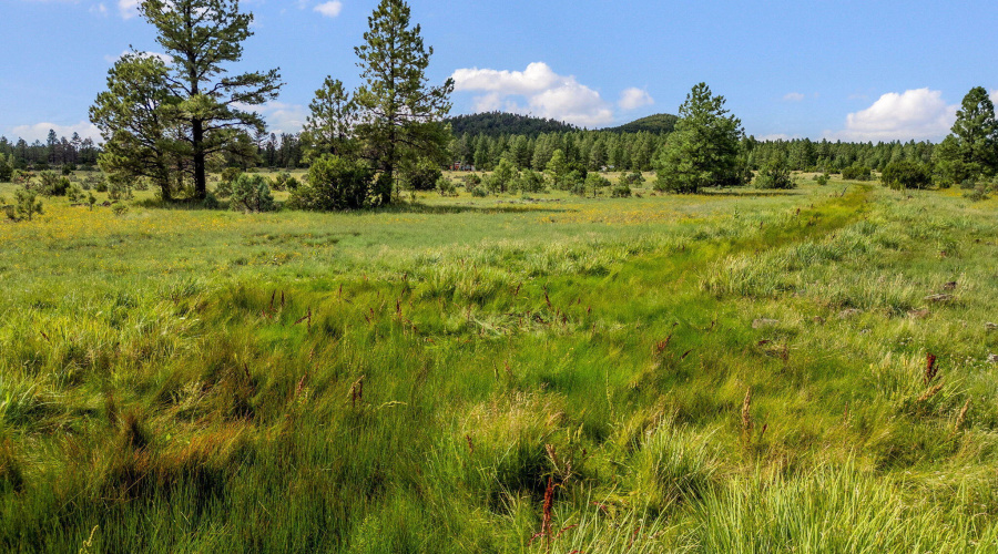 Parcel-106-35-010A-14