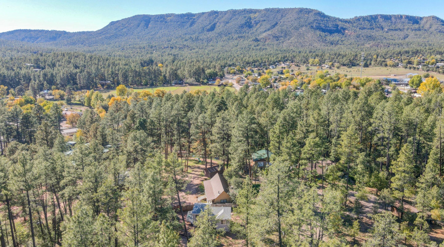 mls-DJI_0657_8_9 copy