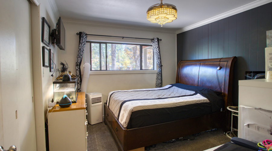 Paxmanphoto_PAX_8815