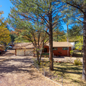 Paxmanphoto_DJI_20251029124129_0010_D