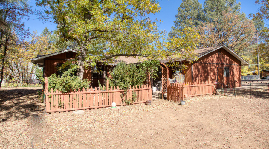 Paxmanphoto_PAX_8882