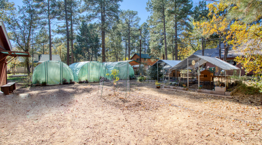 Paxmanphoto_PAX_8870