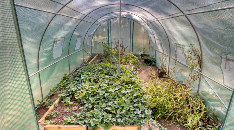 Paxmanphoto_PAX_8872