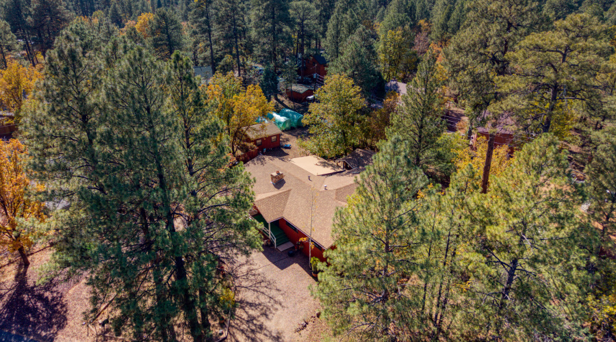 Paxmanphoto_DJI_20251029124154_0017_D