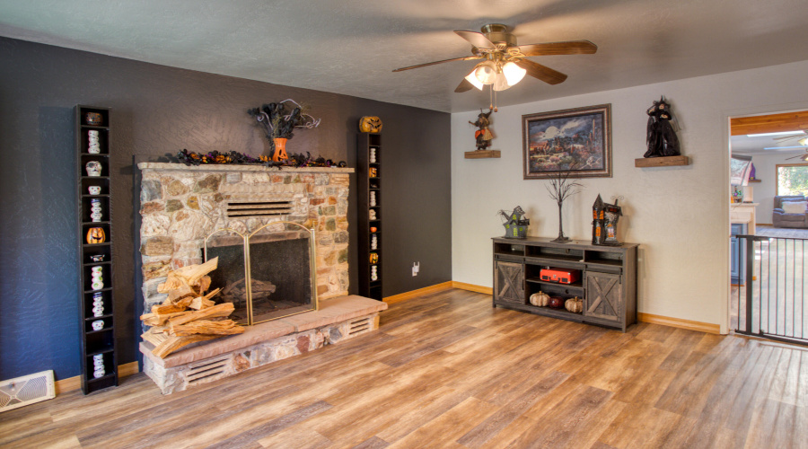 Paxmanphoto_PAX_8826