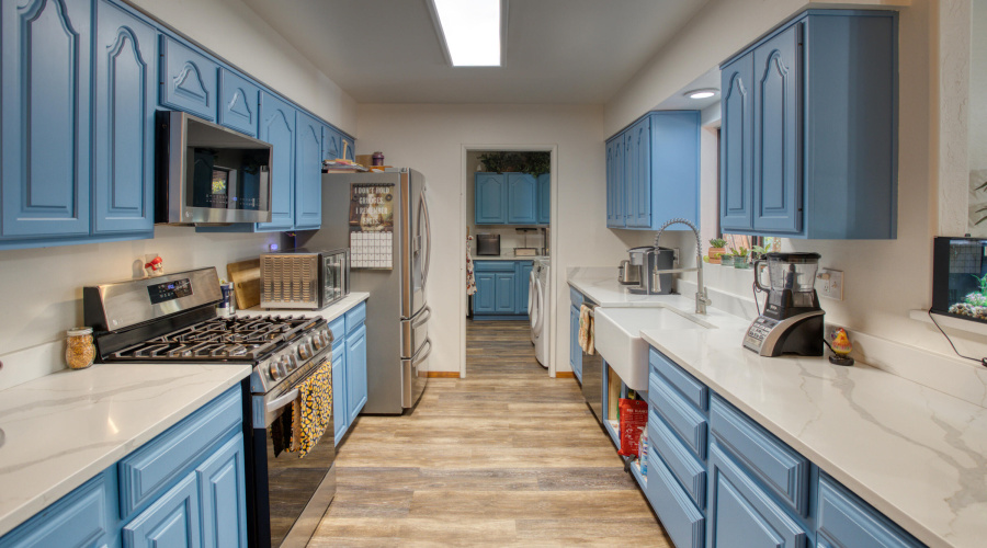 Paxmanphoto_PAX_8835