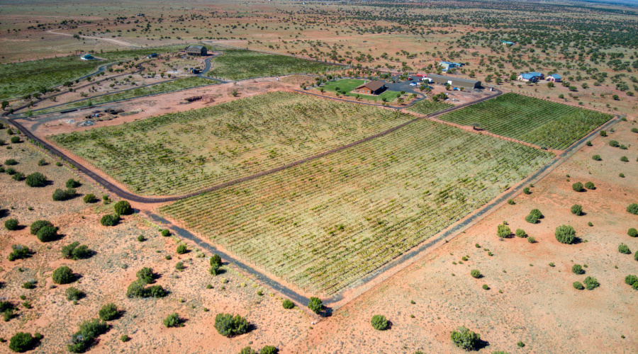Drone Vineyards