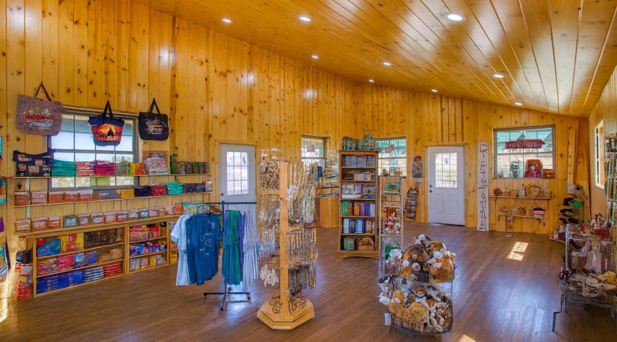 Virtually Staged Store