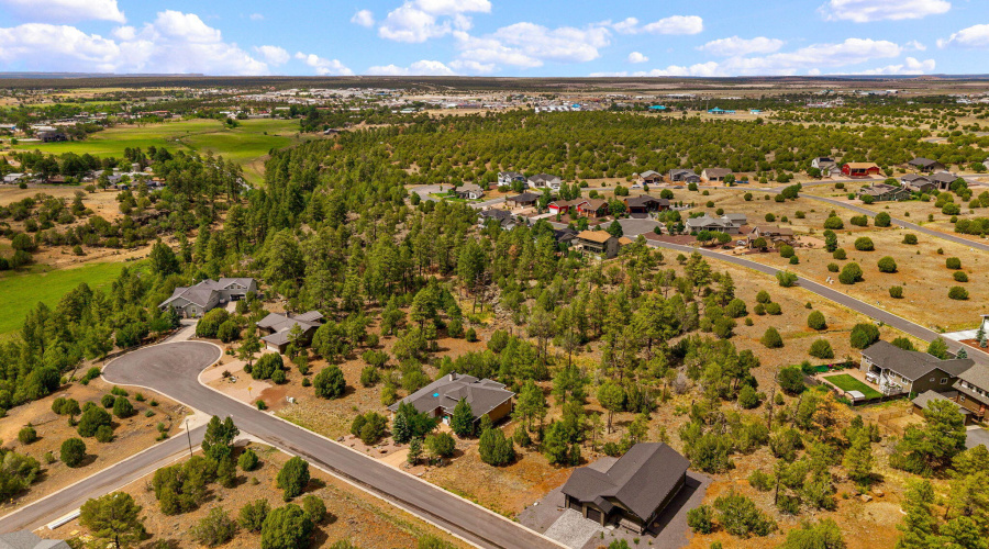 Aerial View of Community