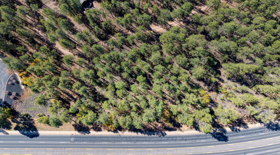 Paxmanphoto_DJI_20251026113837_0144_D