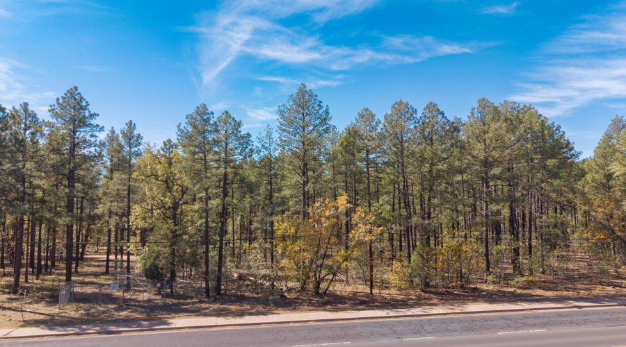 DJI_20251026113806_0128_D