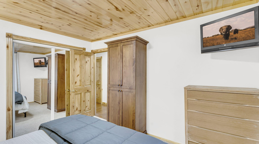 49-web-or-mls-Forest-33