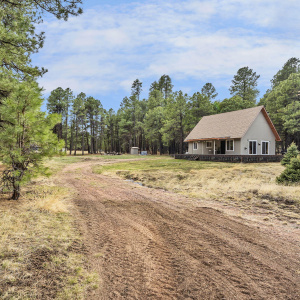 20-web-or-mls-Forest-04