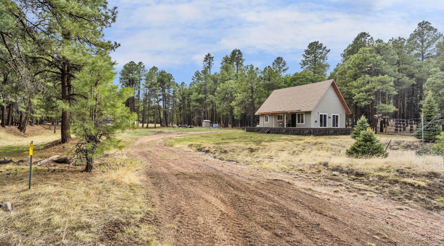 20-web-or-mls-Forest-04