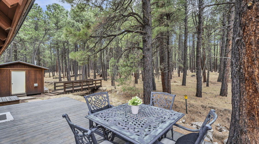 61-web-or-mls-Forest-45