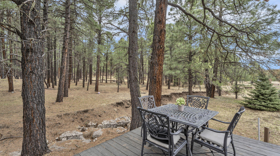 64-web-or-mls-Forest-48